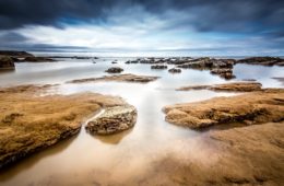 Ut ante enim, dapibus malesuada, fringilla eu